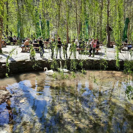 Lavanda-1 By Interhome Apartament Grebaštica