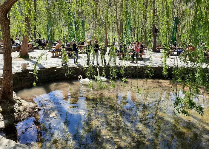 Lavanda-1 By Interhome Apartment Grebaštica